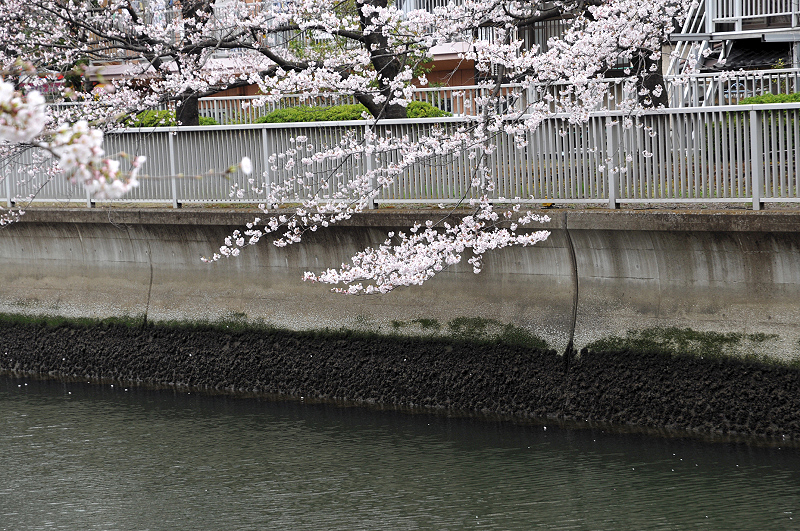 image0296