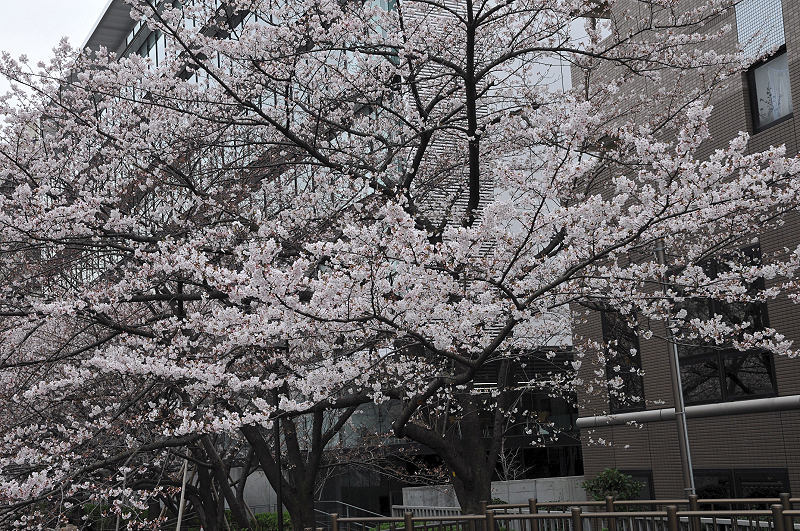 image0304