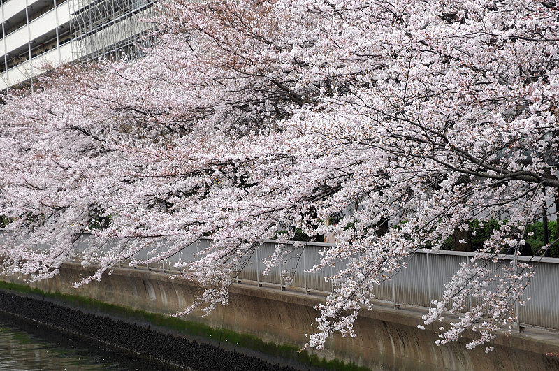image0309