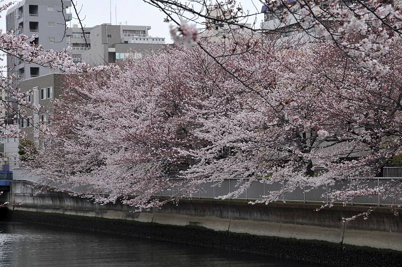 image0310