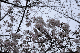 image0129