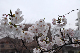image0134