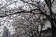 image0135