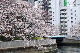 image0136