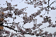 image0141