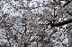 image0142