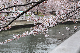 image0144