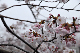 image0153