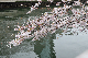 image0159