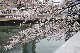 image0160