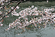image0163