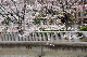 image0178