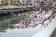 image0181
