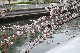 image0183