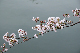image0184