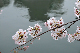 image0185
