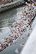 image0186