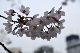 image0187