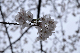image0188