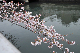 image0189