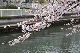 image0192