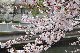 image0193