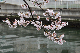 image0194