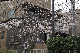 image0197