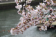 image0200