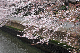 image0212