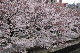 image0214