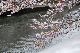 image0216