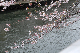 image0218