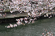 image0219