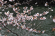image0220