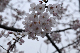 image0221