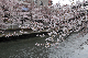 image0222