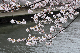 image0223