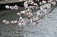 image0225