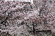 image0228