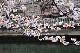 image0230