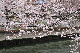 image0232