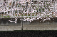 image0234