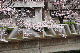 image0235