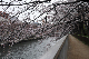 image0236