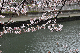 image0237