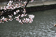 image0238