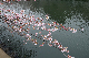 image0243