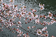 image0244