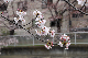 image0246